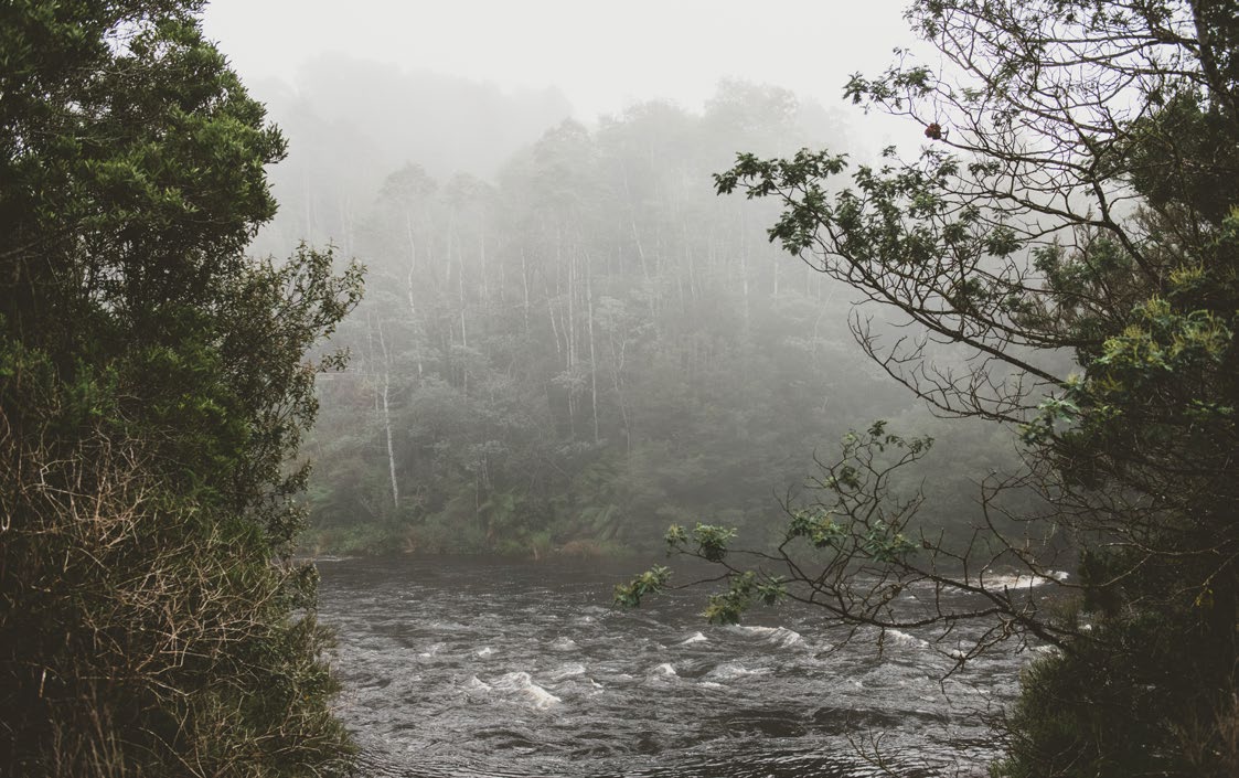 The Franklin River. Photo: Stu Gibson.