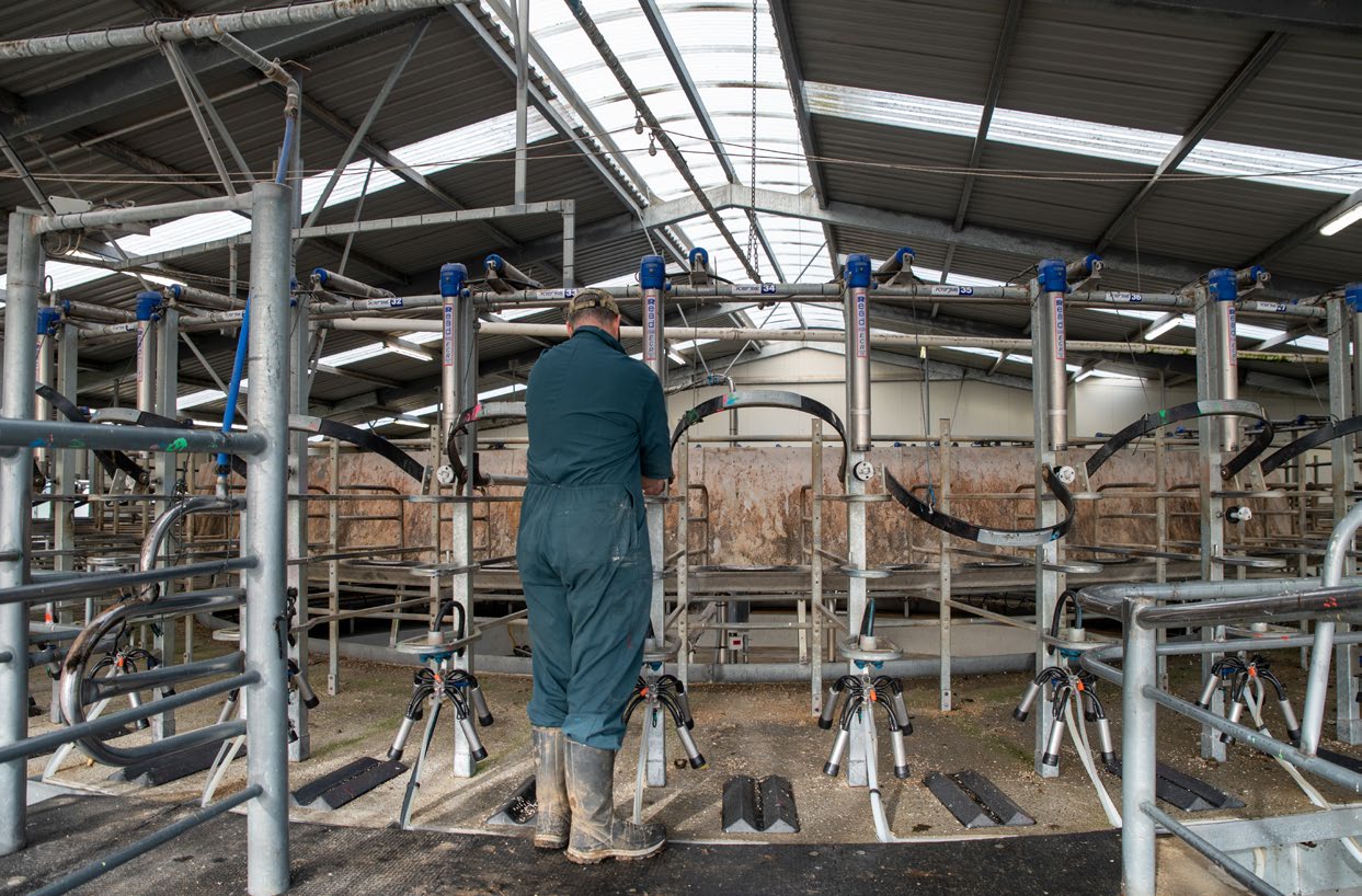 Spencer-Bower checking equipment in one of the farm’s three milking sheds.