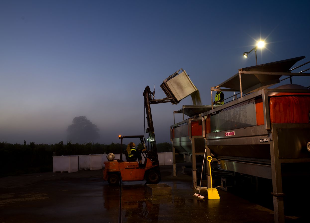 Huia Wines in Marlborough, press being loaded before sunrise.