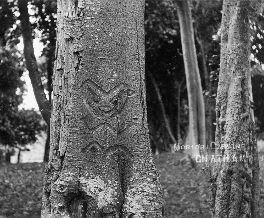 Dendroglyph, Chatham Islands. Photo: Kathleen Joan