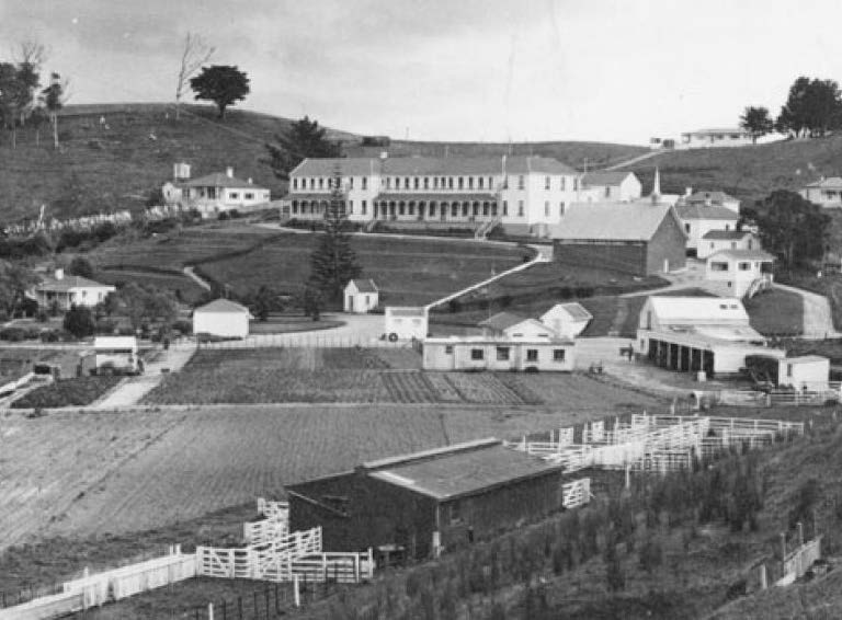 The Salvation Army facility on Rotoroa Island. Photo: Salvation Army.