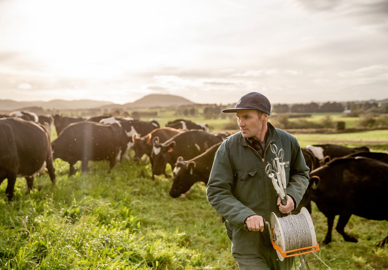 Mark Anderson fencing off the cows. Photo: Camilla Rutherford.