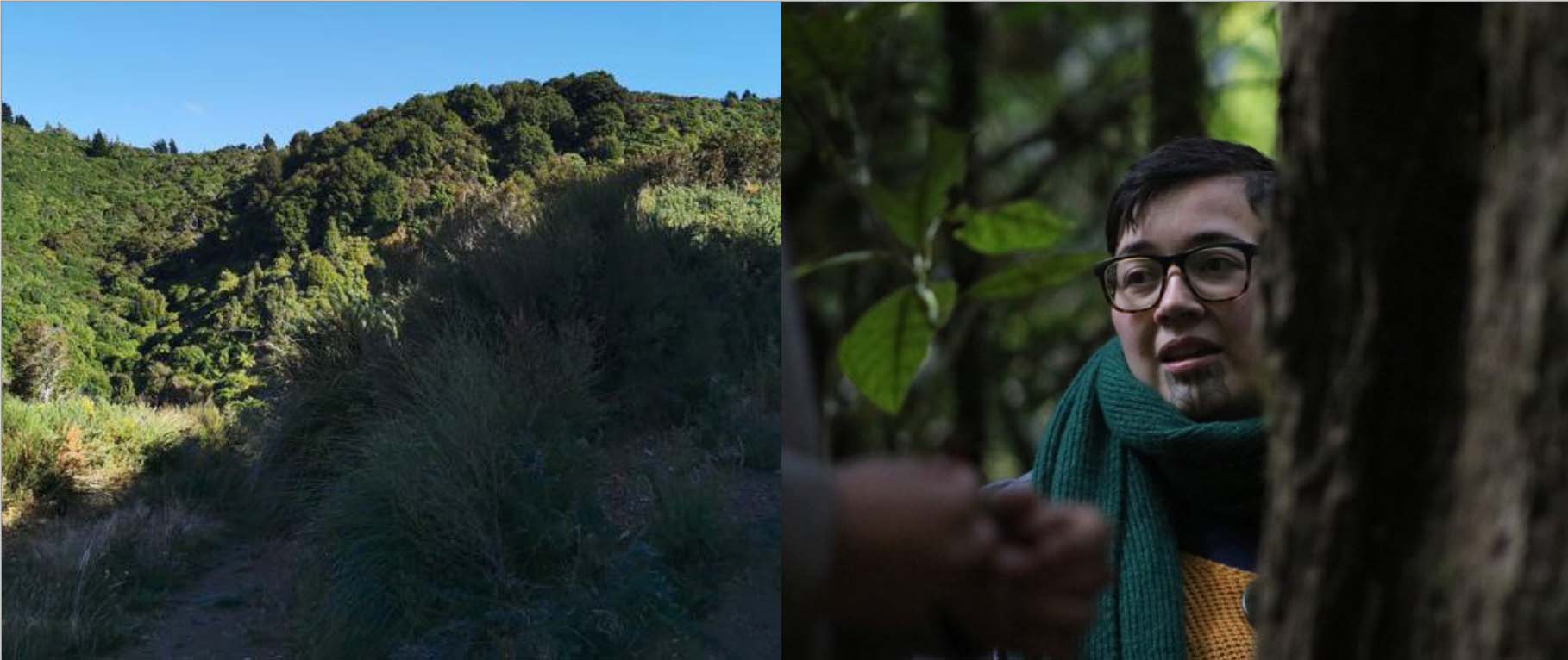 LEFT — A campaign to purchase a block of Ngati Kahukuraawhitia ancestral land at the foot of the Tararua Ranges was unable to raise sufficient funds. Photo: Meriana Johnsen, RNZ. / RIGHT — Amber Craig, a member of the Ngati Kahukuraawhitia hapu. Photo: Courtesy of Rahiri Makuini Edwards-Hammond.
