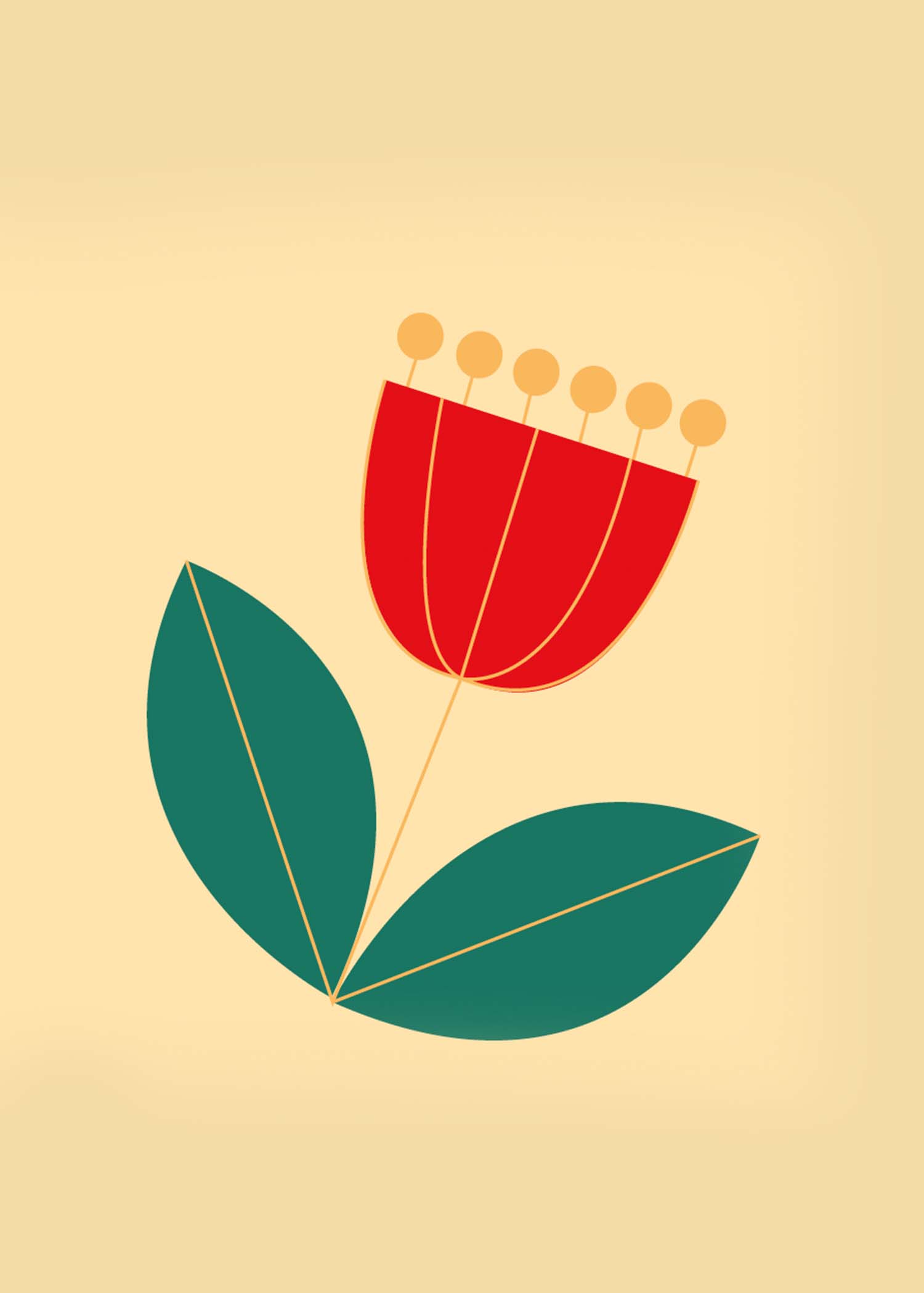 pōhutukawa flower illustration.