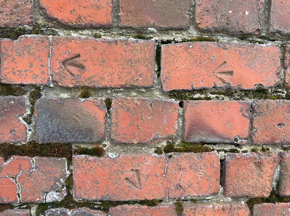 Detail of Tasman Street brick wall.