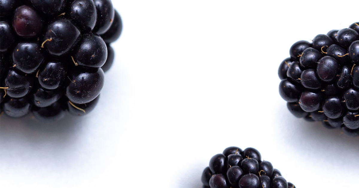 The Best Berry — North & South Magazine