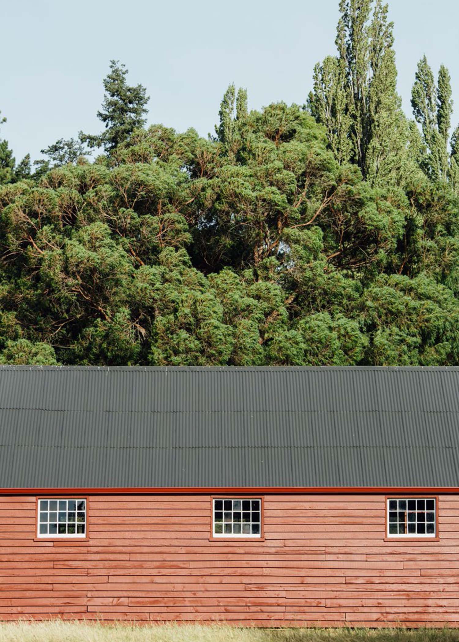 The Shed. Photos byPhotos by Sarah Rowlands