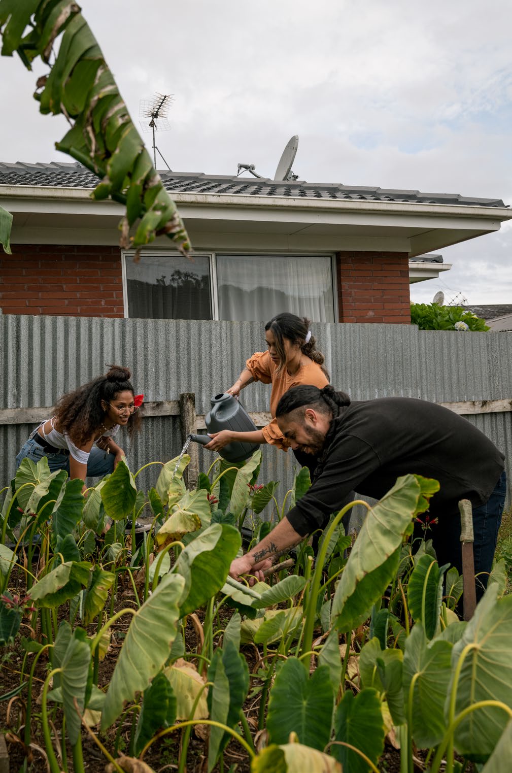 Tawhiao-Lomas (centre), Tausani Simei-Barton, and his wife, Hope Papali‘i, tend to the taro patch.