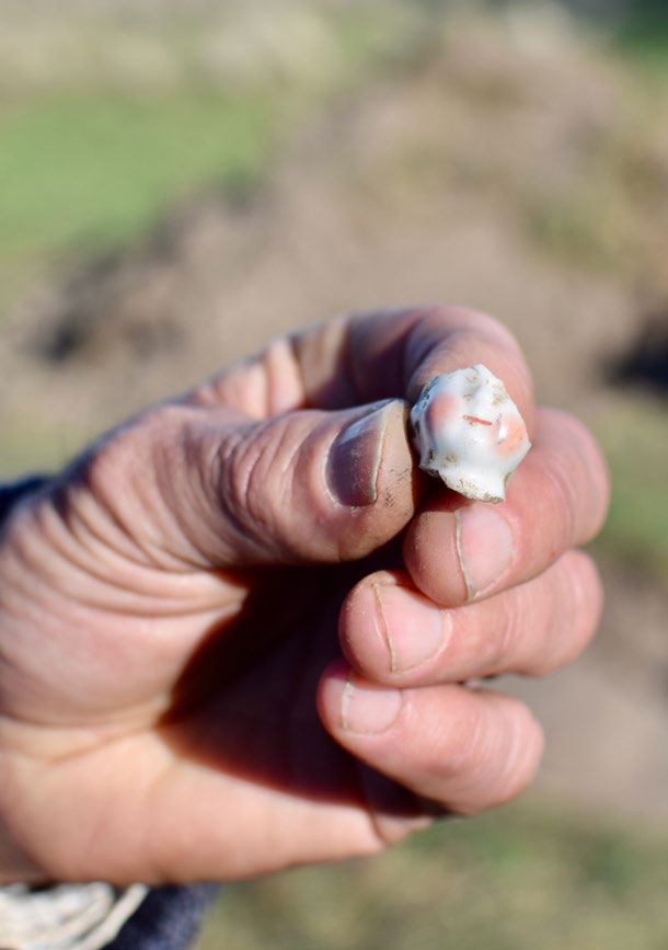 They recently found the remains of a house with an ornate garden and fragments of children’s toys.