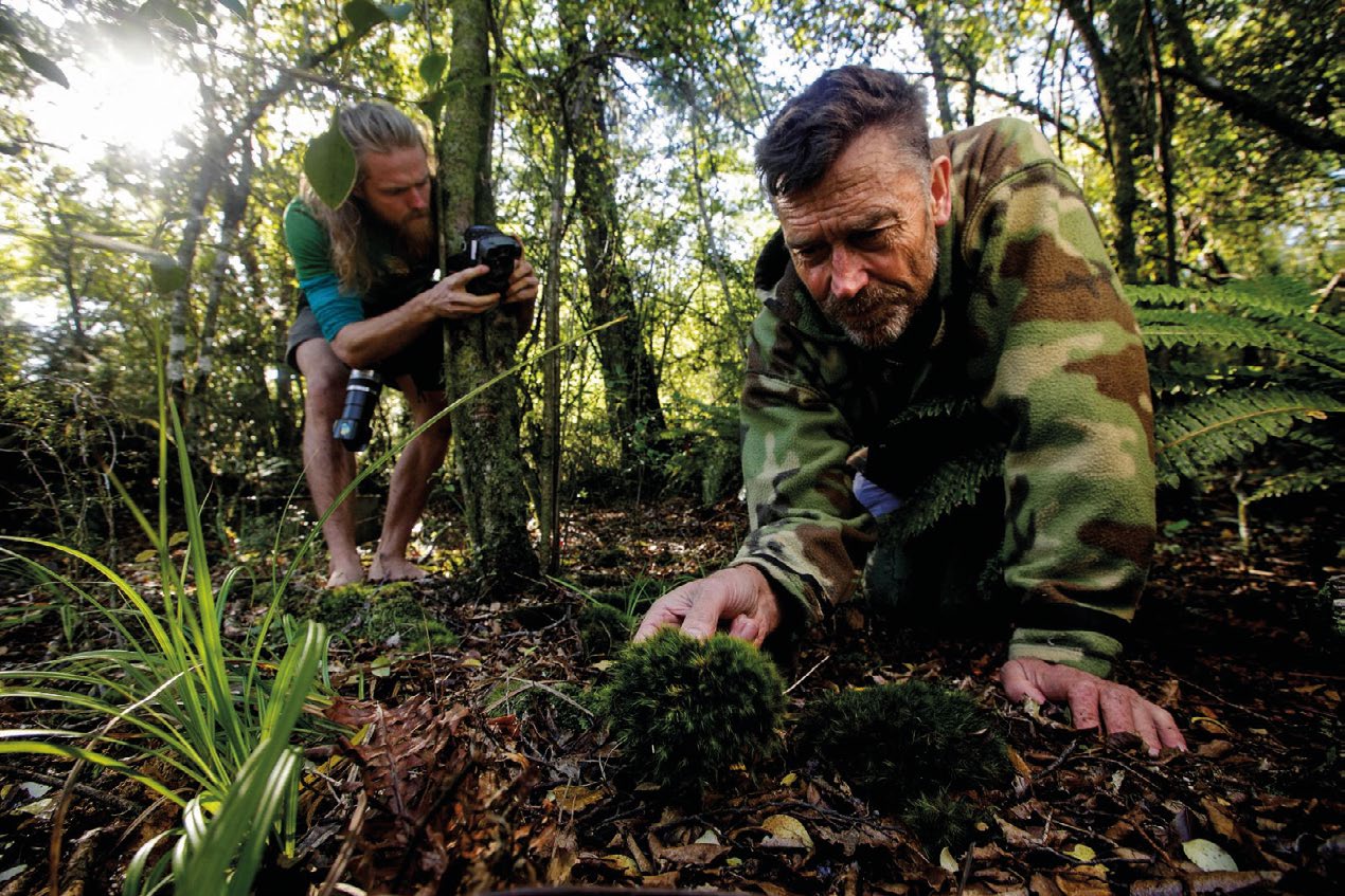 South Island kōkako hunter Geo" Reid installs a camera